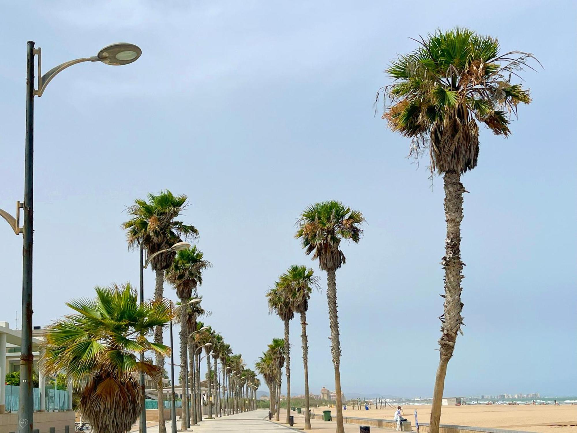 Stylish Well-Connected Beachfront Flat Valencia Luaran gambar